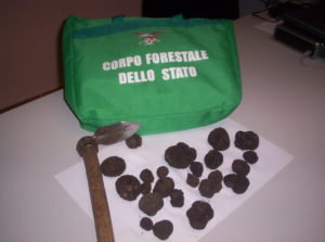 tartufo-1