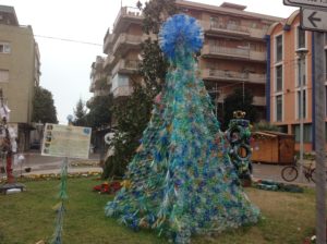 albero arcobaleno vincitore