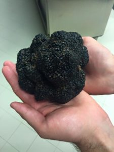 tartufo