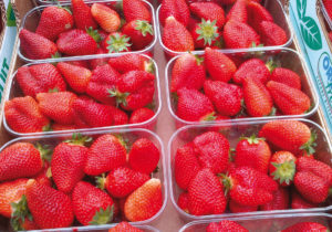 fragole friutta cibo