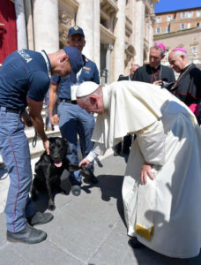 papa francesco cane leo