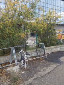 biciclette