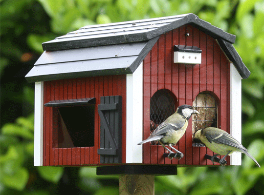 Casette Rifugio Per Uccellini Sistemate Nel Parco Della Villa Dinamica Di Vasto Abruzzolive