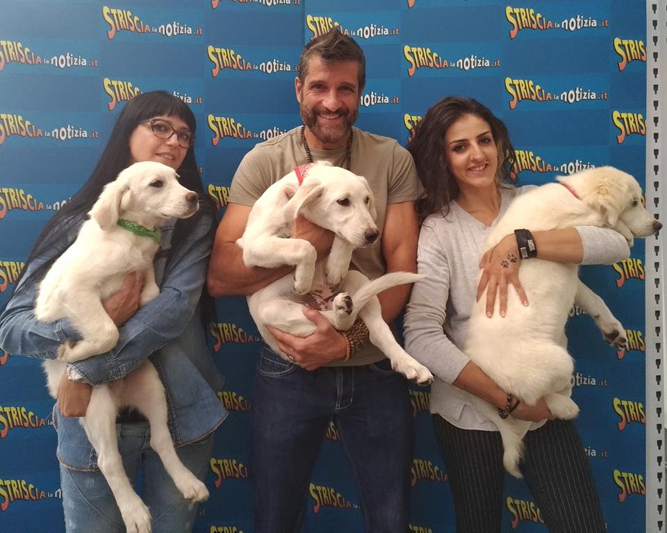 Ecco Hashtag Il Cane Abruzzese Mascotte Della Grande Famiglia Di