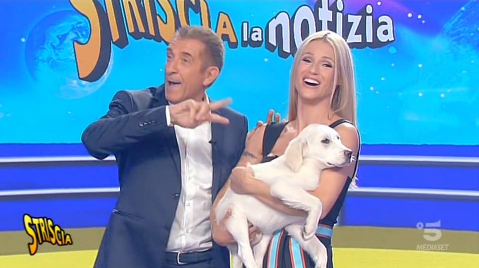 Ecco Hashtag Il Cane Abruzzese Mascotte Della Grande Famiglia Di