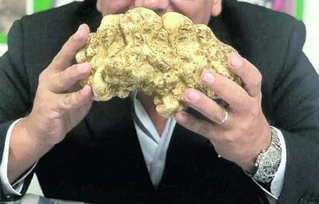 Tartufo Da Record In Abruzzo Trovato Un Bianco Da Un Chilo E 200