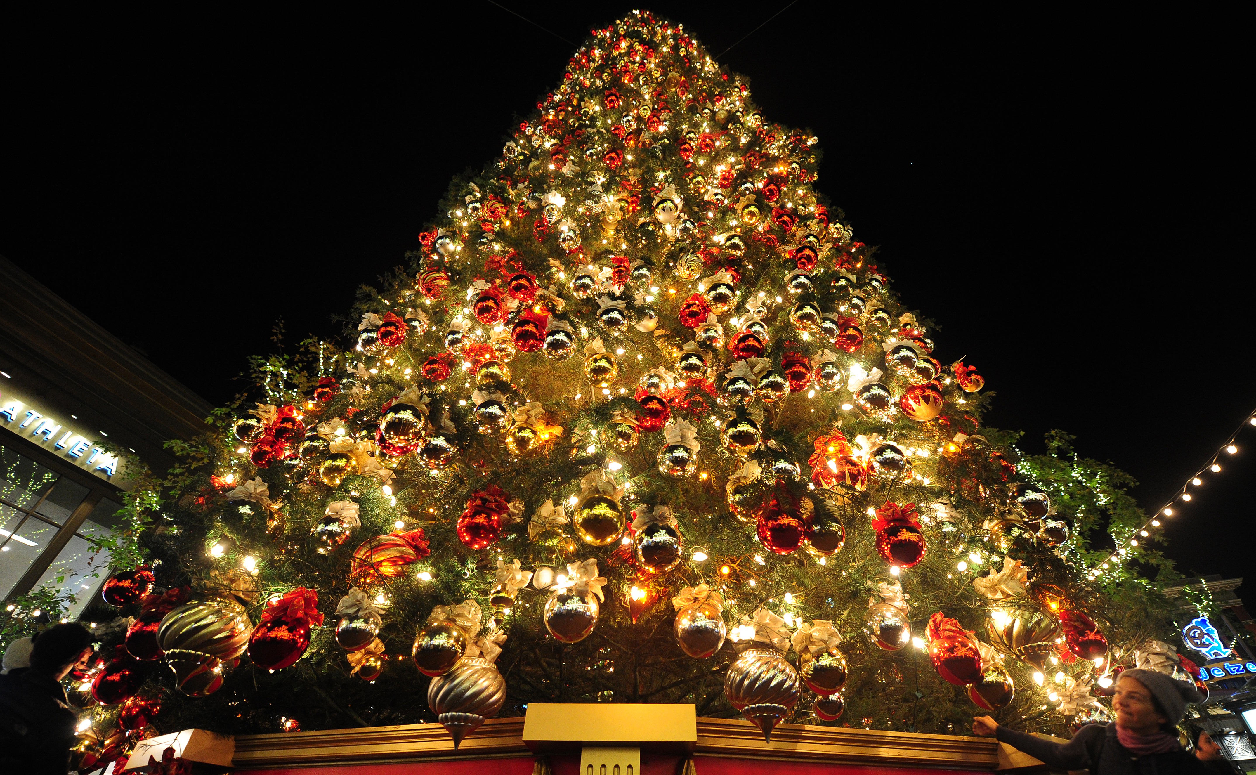 Foto Immagini Di Natale.Un Natale Esagerato A Pianella L Albero Piu Grande D Abruzzo Domenica L Accensione Abruzzolive