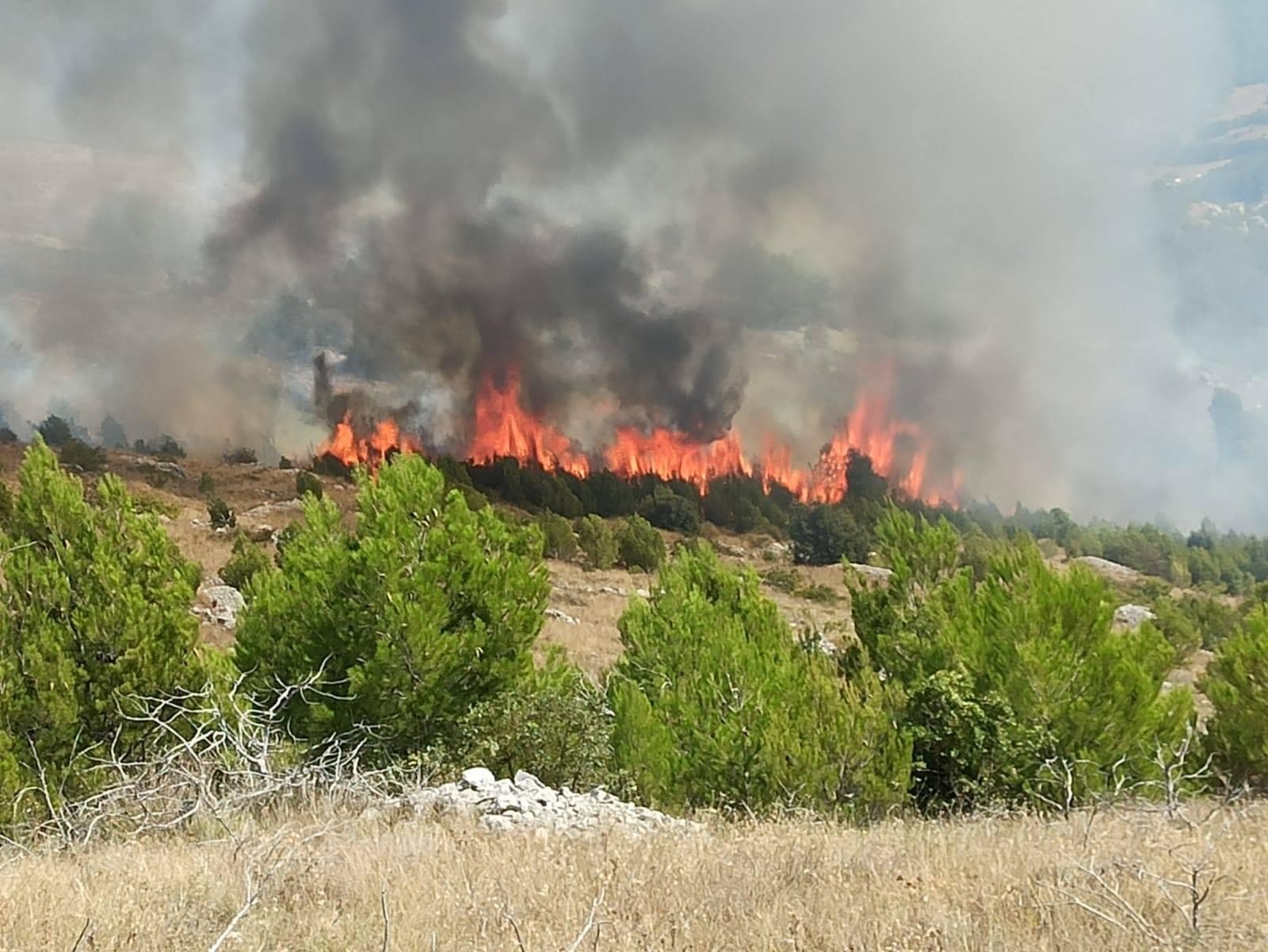 Continua A Bruciare La Montagna In Abruzzo In Fiamme Cento Ettari Di Bosco Pescaralive